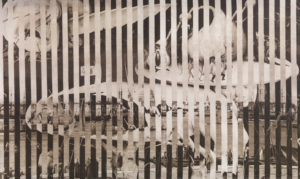 Jiri Kolár (1914-2002), Ricordo di Venezia, 1969, emulsione fotografica su tela, Collezione Mauro Stefanini, Galleria Open Art, Prato