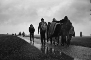 © Andreja Restek, Hungary-Serbia border