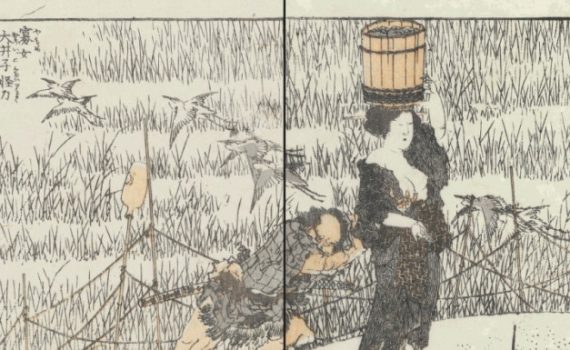 Hokusai-Manga-vol-9-illustrazione-a-pagina-doppia